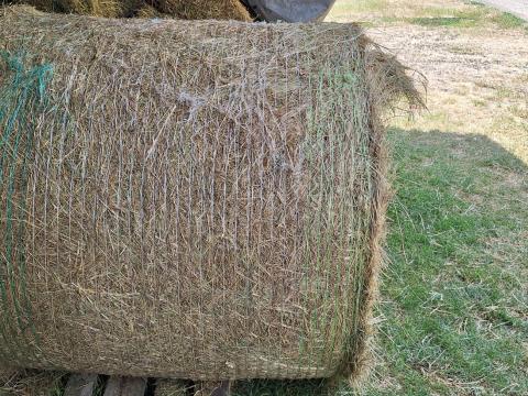 Extra széna körbála Extra széna körbála