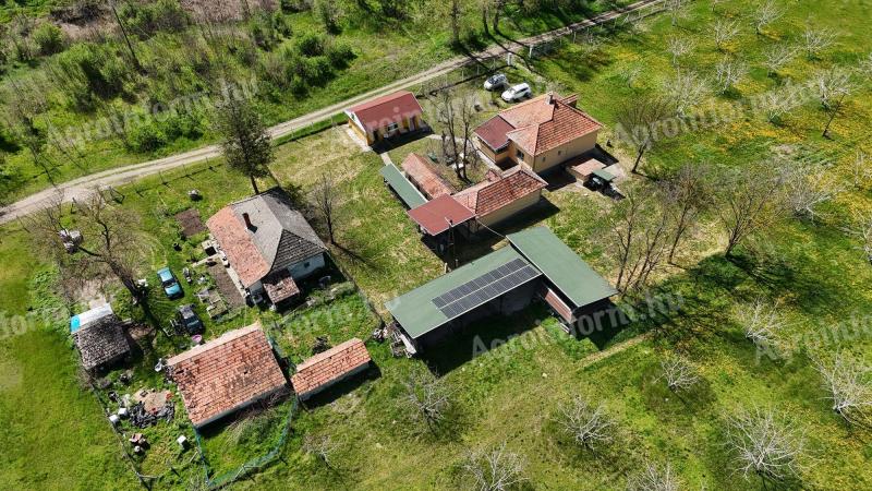 7 hektáros,  jól felszerelt tanya eladó Tömörkényen,  közvetlenül a Dong-ér patak partján