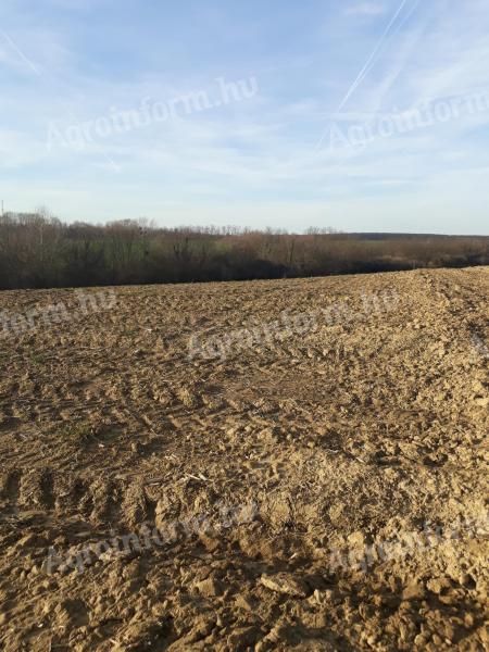 ELADÓ 9 hektáros termőföld /akár napelemparknak/