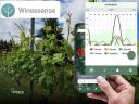 WINESSENSE - digitalizált szőlőtermelés