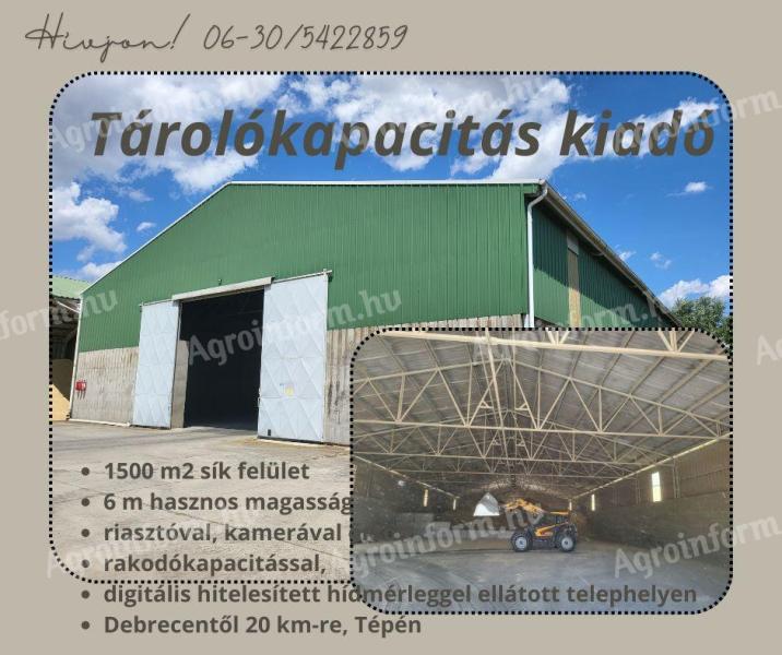 Tárolókapacitás kiadó