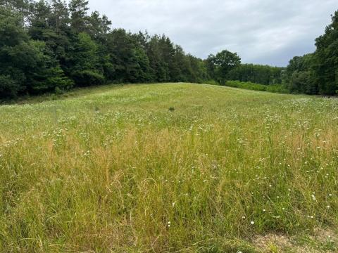 Széna bála Széna bála