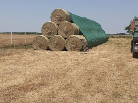 Gyepszéna eladó Gyepszéna eladó