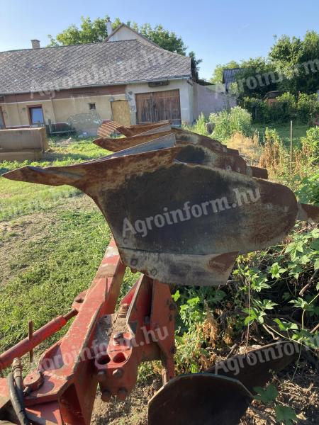 Krone eke