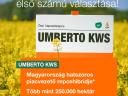 UMBERTO KWS repce vetőmag