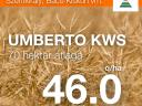 UMBERTO KWS repce vetőmag