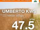 UMBERTO KWS repce vetőmag