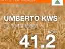 UMBERTO KWS repce vetőmag