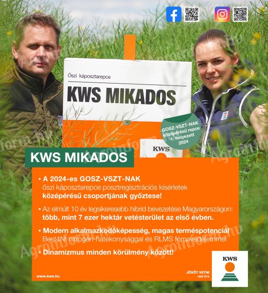 KWS MIKADOS repce vetőmag