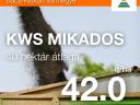 KWS MIKADOS repce vetőmag