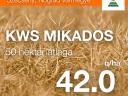 KWS MIKADOS repce vetőmag