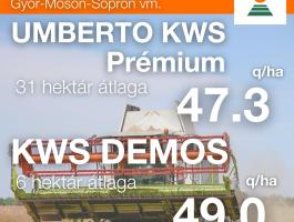 KWS DEMOS Repce Vetőmag