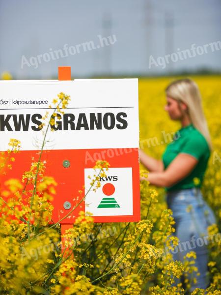 KWS GRANOS repce vetőmag