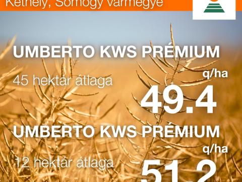 Prémium KWS repce vetőmag Prémium KWS repce vetőmag