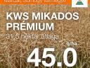 Prémium KWS repce vetőmag