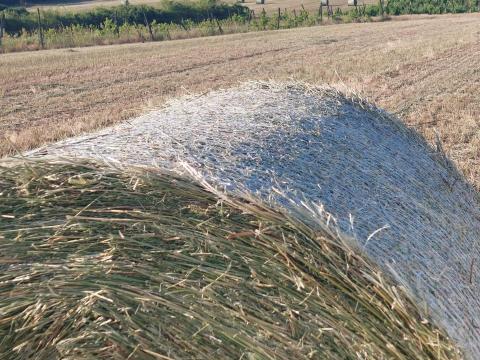 Lucerna bála eladó Lucerna bála eladó