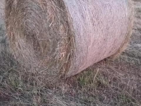 Széna bála Széna bála