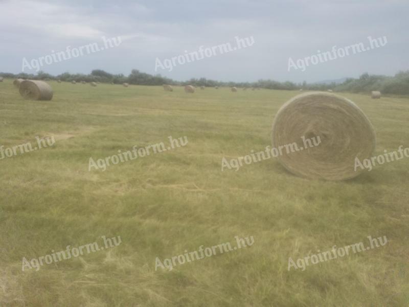 SZÉNA KASZÁLÓ lábon álló180 ha kiadó,  anyaszéna vágás,  bálázás céljából
