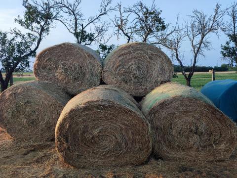 Füves lucerna Füves lucerna