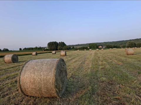 Réti fűszéna eladó Réti fűszéna eladó