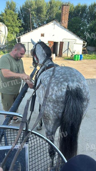 Hobby Kanca