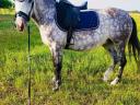Hobby Kanca