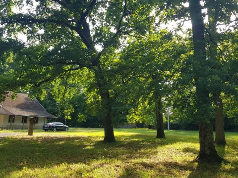 Turisztikai övezet 80.000 m2, 50-100 éves tölgyfás, 10% beépíthetőség Turisztikai övezet 80.000 m2, 50-100 éves tölgyfás, 10% beépíthetőség