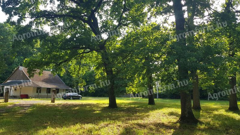 Turisztikai övezet 80.000 m2,  50-100 éves tölgyfás,  10% beépíthetőség