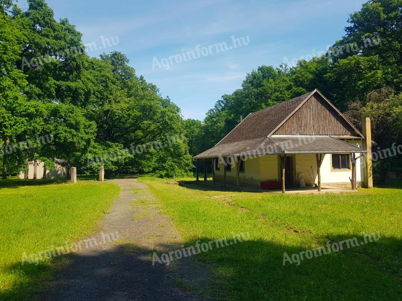 Turisztikai övezet 10% beépíthetőség,  50-100 éves tölgyfás,  80.000 m2