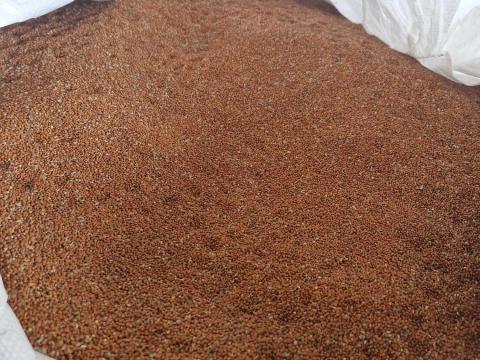 Vörös köles eladó Vörös köles eladó