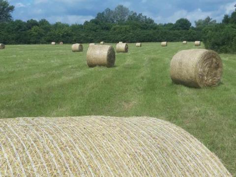Réti széna 130-as Réti széna 130-as