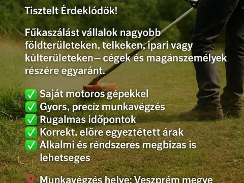 Fűkaszálást vállalok nagyobb területeken – igényes, megbízható munkavégzéssel Fűkaszálást vállalok nagyobb területeken – igényes, megbízható munkavégzéssel