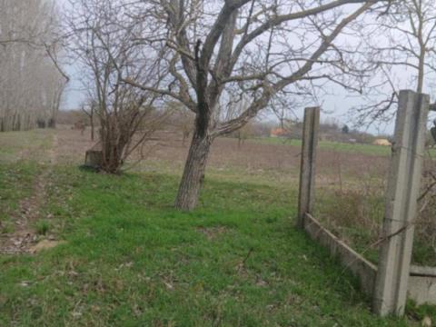 Eladó telek, terület (szőlős bejegyzésű) Eladó telek, terület (szőlős bejegyzésű)