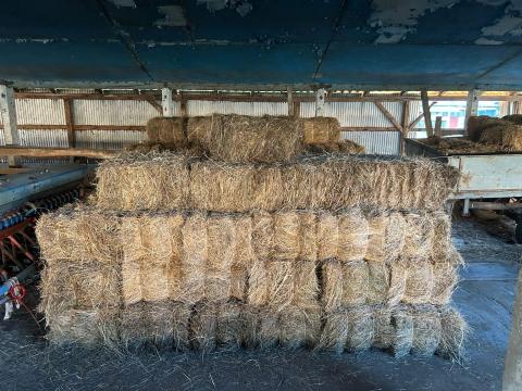 Kisbálás széna Kisbálás széna