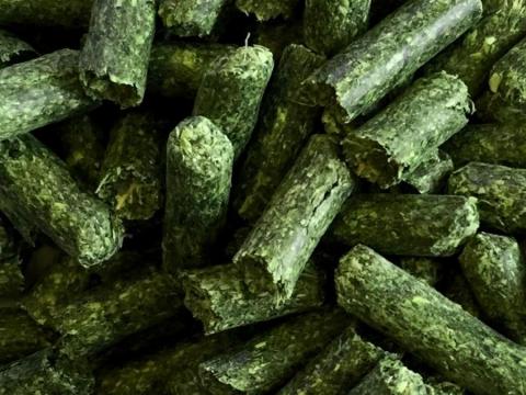 Lucerna pellet – kamion tételben közvetlenül a gyártótól