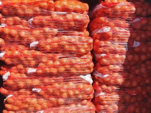 Vöröshagyma 220 Ft 5-7 méret Vöröshagyma 220 Ft 5-7 méret