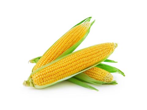 Csemegekukorica Csemegekukorica