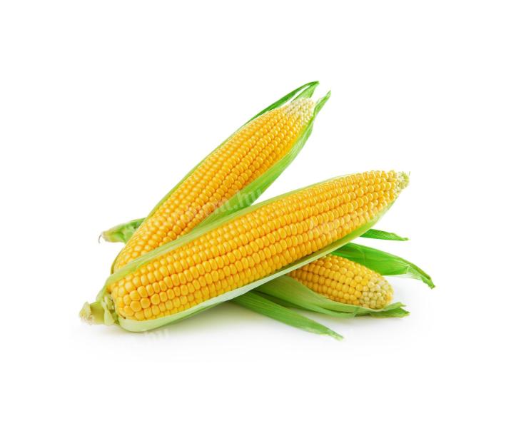 Csemegekukorica
