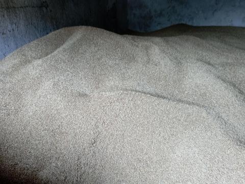 Őszi árpa eladó – tiszta, száraz, kulturált tárolásból Őszi árpa eladó – tiszta, száraz, kulturált tárolásból