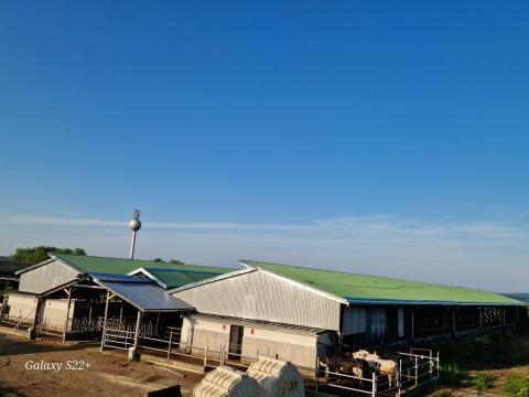 Pinkamenti Agrár Kft tehenészeti telepére keresi új munkatársait Pinkamenti Agrár Kft tehenészeti telepére keresi új munkatársait