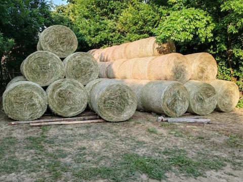 Lucerna bála Lucerna bála