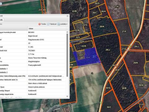 Akácerdő Nagybaracskán