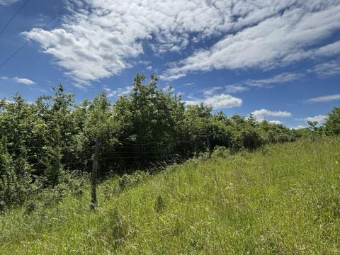 Külterület eladó Külterület eladó