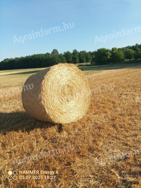 Körbálás szalma eladó