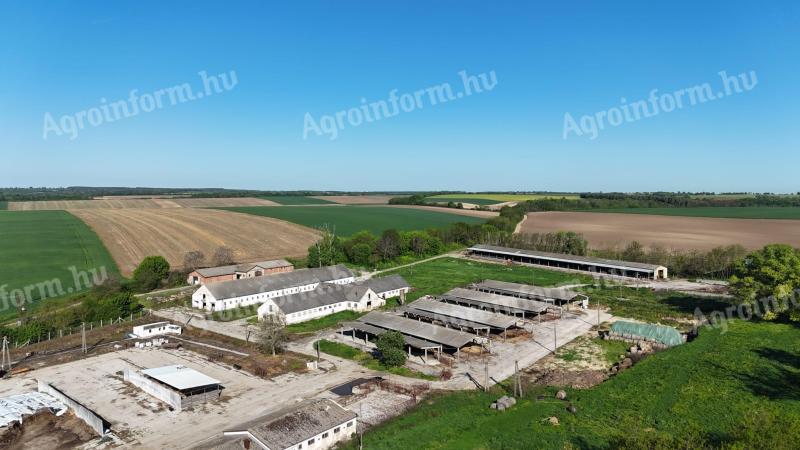 Tolna vármegye- Eladó szarvasmarha telep Felsőnánán,  93.900 m². (Nem bérelhető) Külön megvásárolható egy Kft. 350 hektár bérleménnyel