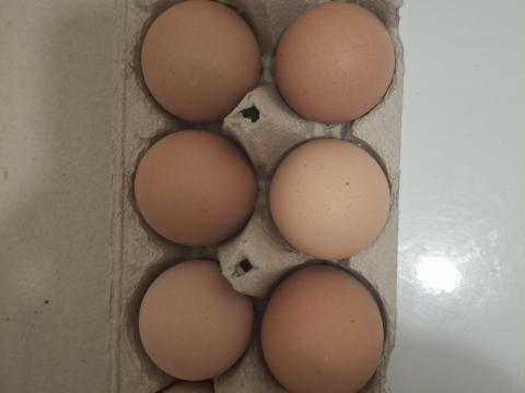 Gyönyörű házi tojás eladó