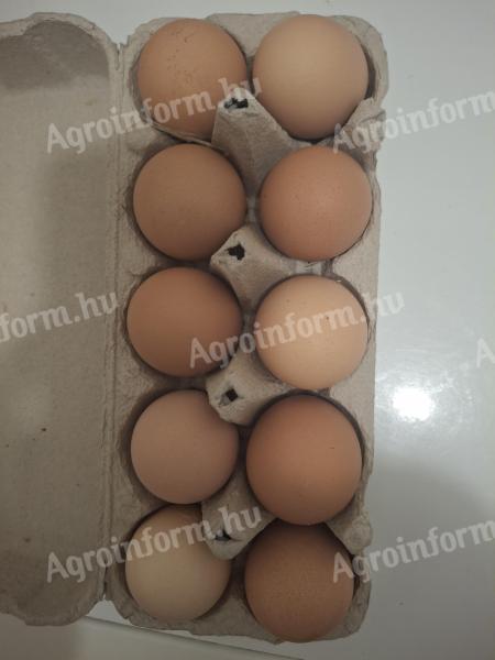Gyönyörű házi tojás eladó