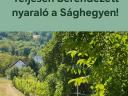 Eladó borospince + nyaraló Sághegyen – Teljes berendezéssel, azonnal birtokba vehető