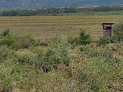 Pécelen szántóföld eladó Pécelen szántóföld eladó