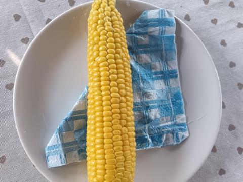 Csemege kukorica Csemege kukorica